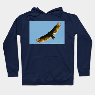 Turkey Buzzard 1 Hoodie